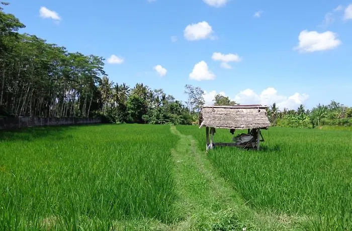 Angel House Ubud Eco Villa Villa *