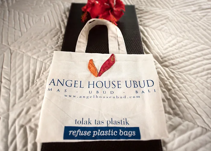 Angel House Ubud Eco Villa Ubud (Bali)