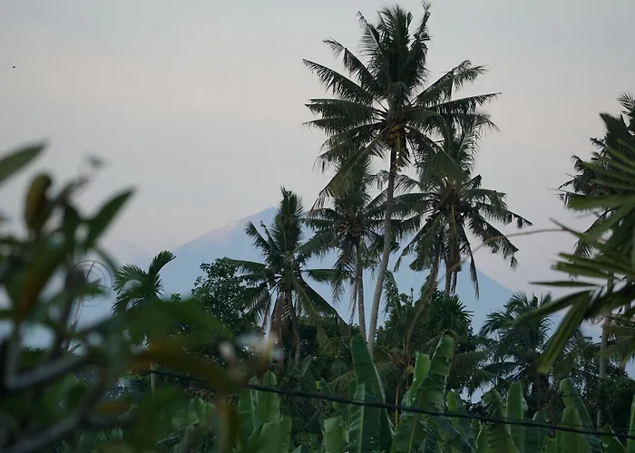 Angel House Ubud Eco Villa *