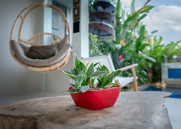 Angel House Eco * Ubud